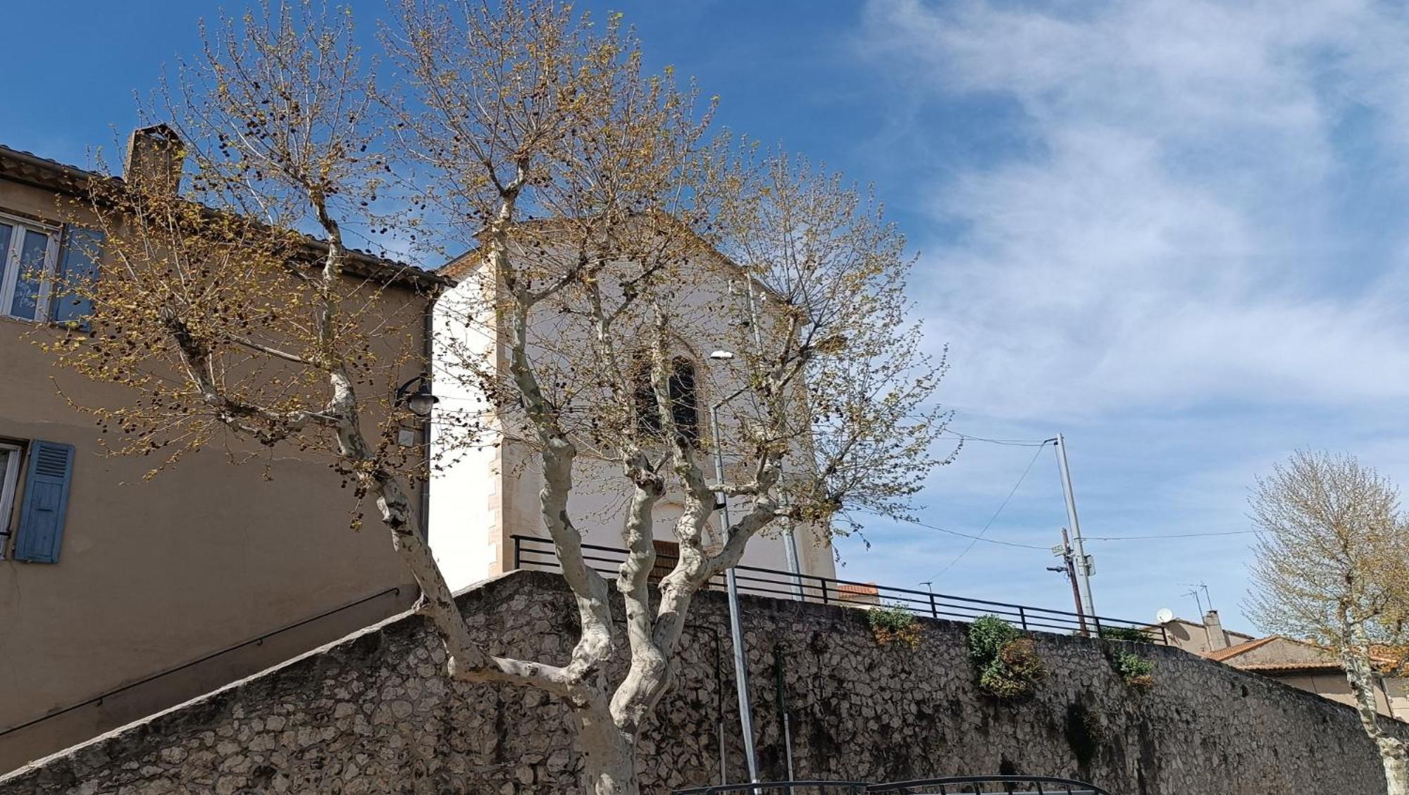 Thym * Cosy * Fibre * Confort La Destrousse Exterior photo